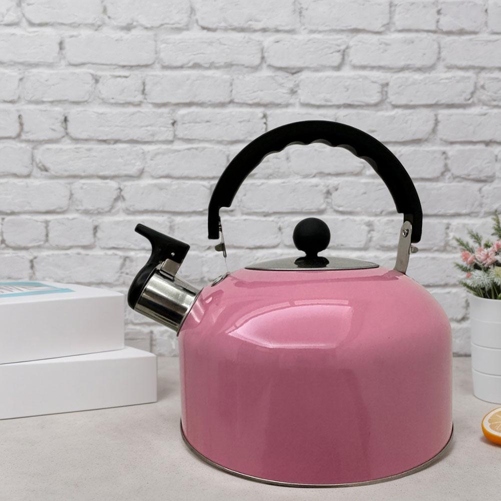 3L Stainless Steel Whistling Tea Kettle Water Boiler Multi-Function Water Boiling Pot Camping Pot for Induction Stove Gas Stove