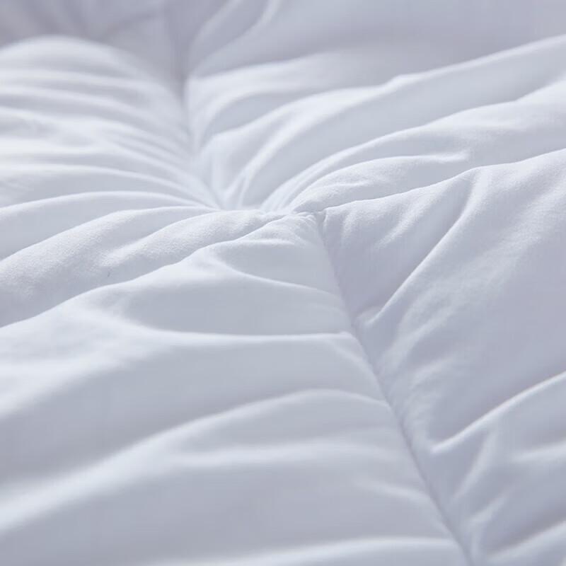 Mengjie Soft & Bouncy Two-in-One Fiber Quilt