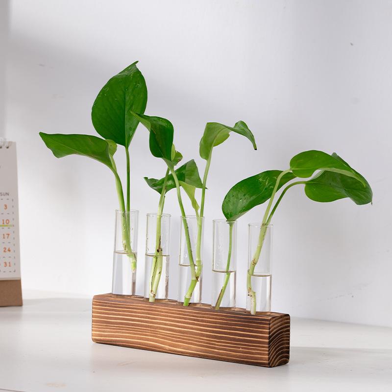 3/5 Röhrchen Wandhängende Hydroponische Pflanzenvermehrung Glasvase mit Holzständer Schreibtisch für Zuhause Büro Pflanzgefäß Garten Dekor