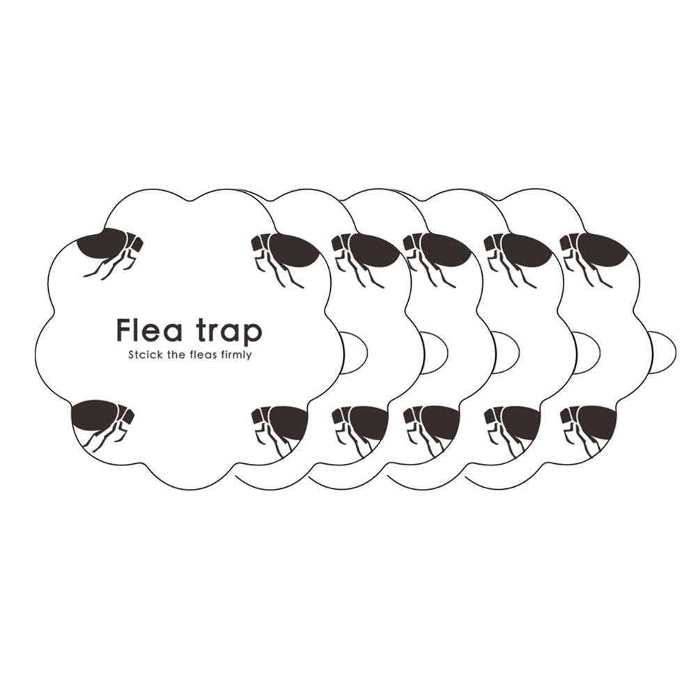 

5PCS Flea Trap Stickers Sticky Fly Traps Pumpkin Shaped Flea Traps for Home Bedroom