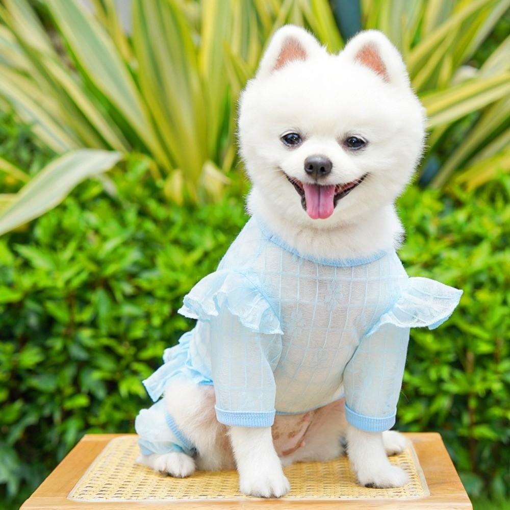 Breathable Dog Cooling Jumpsuit Quick Drying Thin Fabric Dog Mesh Vest Flying Sleeves D-Ring Design Pet Sun Protection Clothes