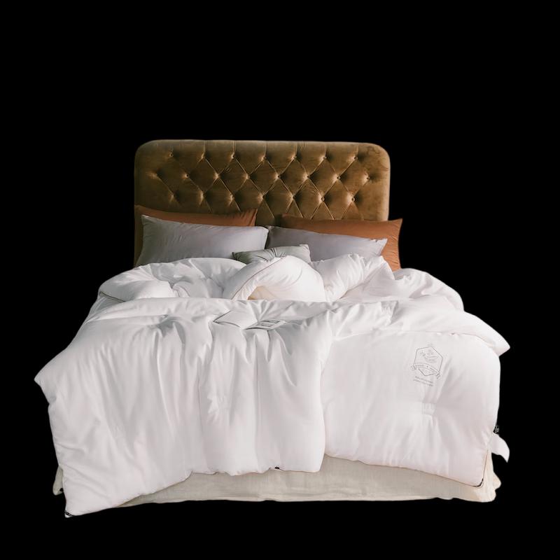 

CHANSI Jacquard Soy Fiber Winter Quilt