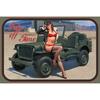 Vintage Girl Metal Sign Poster Retro Wall Art Home Decor Bar Club Man Cave Decoration 20x30cm