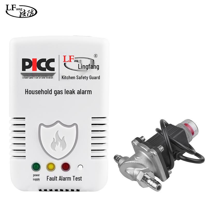 Lingfang Dual-Tip Solenoid Valve Gas Alarm System G72