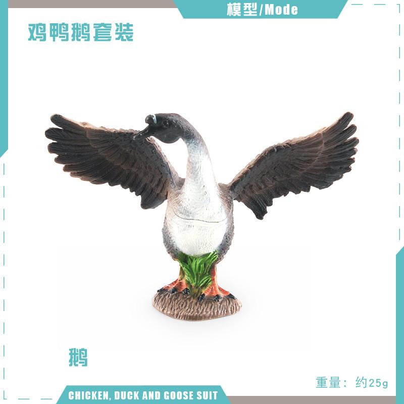 Detailed Pvc Models Of Farm Poultry Ducks Geese Roosters And Hens For Educational Play