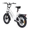 Bodywel F20 Folding Electric Snowmobile 500W Motor 48V13.5Ah Battery City E-Bike 20 Inch Anti-Skid Wide Tire Outdoor Riding Electric Bicycle