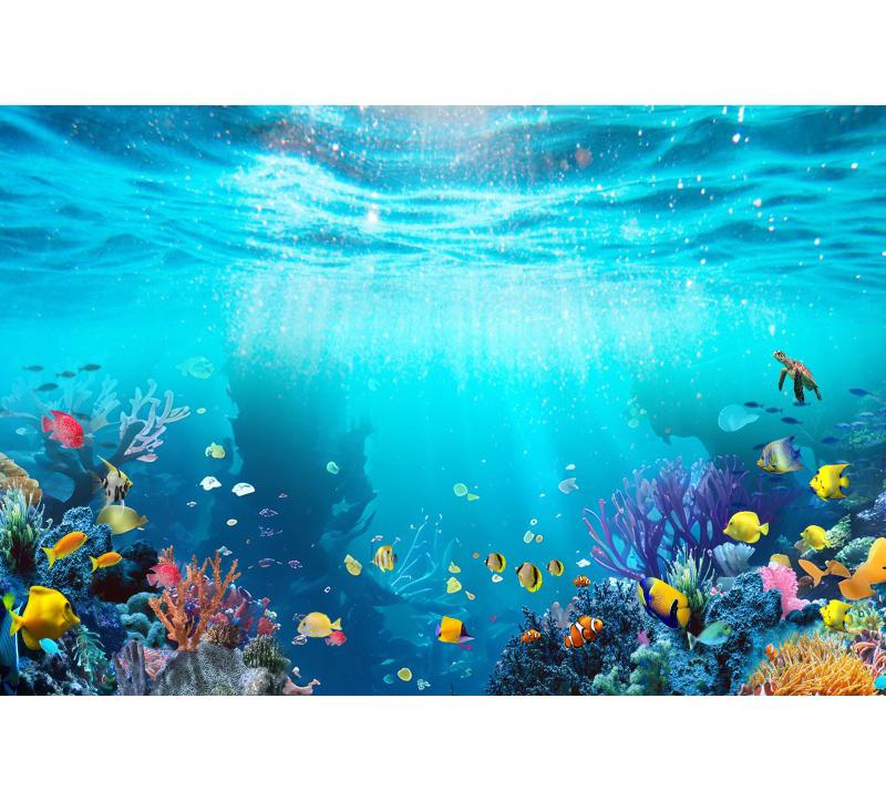 Underwater World Fish Coral Aquarium Theme Photography Backdrop, Children's Birthday Party, Home Decoration Photography Backdrop
