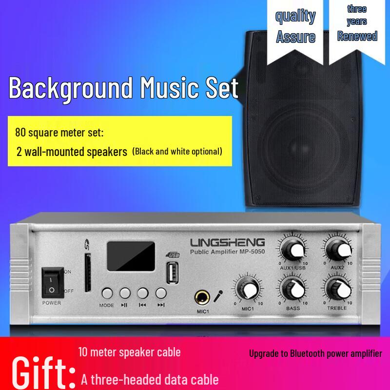 LINGSHENG FT-204 Wall-Mounted Conference Speaker System CN Plug (adapter Included)