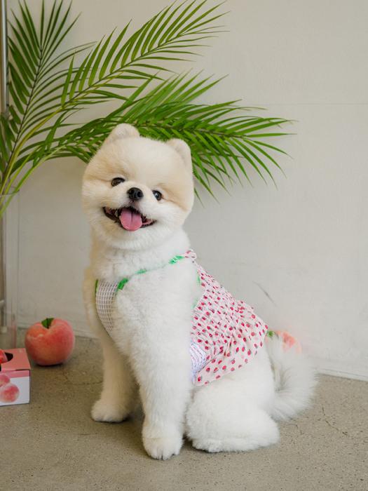 

SALTYHEARTY Hello Crop Blouse Peach White Peach White