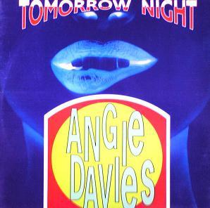 

12inch Record ANGIE DAVIES - Tomorrow Night TRD1253 Time Records 1992 Italy Dance & Electronica Used