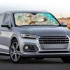Summer Beach Shell Car Windshield Sunshade - Portable, Thin, No Installation Needed (Order from 1 Piece)