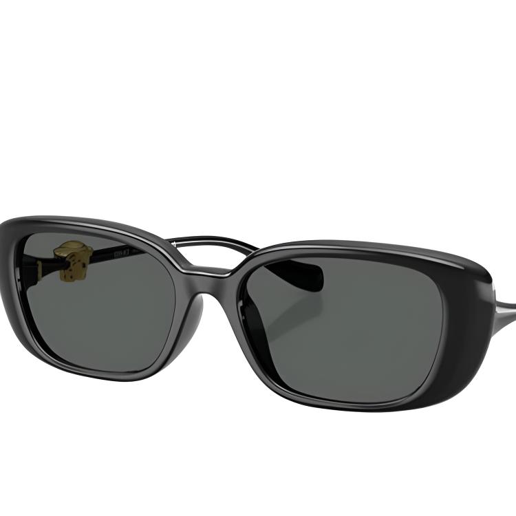 Versace Narrow Frame Design Square Sunglasses Unisex Sunglasses Black OVE4504D-GB1/87