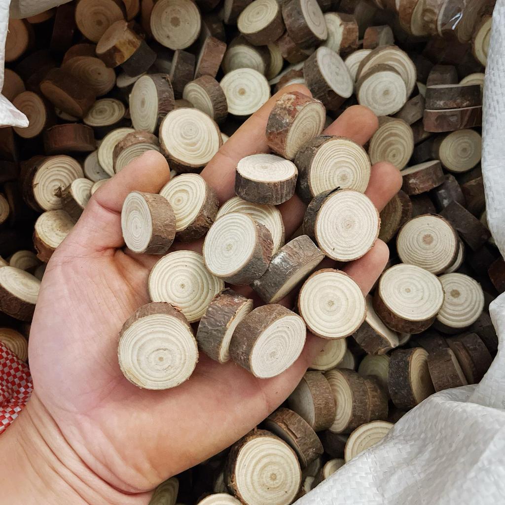 DIY Hand-Painted Wooden Slices for Crafts and Kindergarten Decor – Small Natural Wood Pieces with Growth Rings