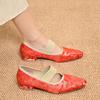 Fashion Elegant Women Shoes Pointed Toe Heeled Sandals Dress Party Woman Loafers Designer Summer New 2025 Trend Chunky Woman Pumps Mujer