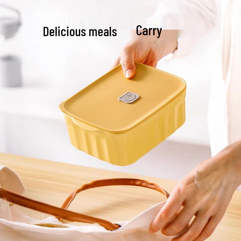 Buydeem Ceramic Piggy Lunch Box