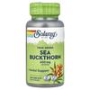 Sea Buckthorn, 100 VegCaps (300 Mg Per Capsule)