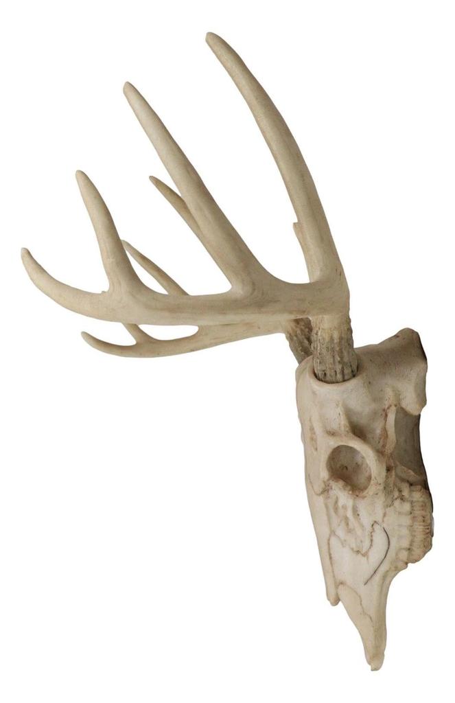 Ebros Gift Rustic Hunter Deer Back Skull Trophy Antler Wall Hanging Decorative Frame Trophy Ornament Inches Hunter Antler Rack Theme Deer Hunting