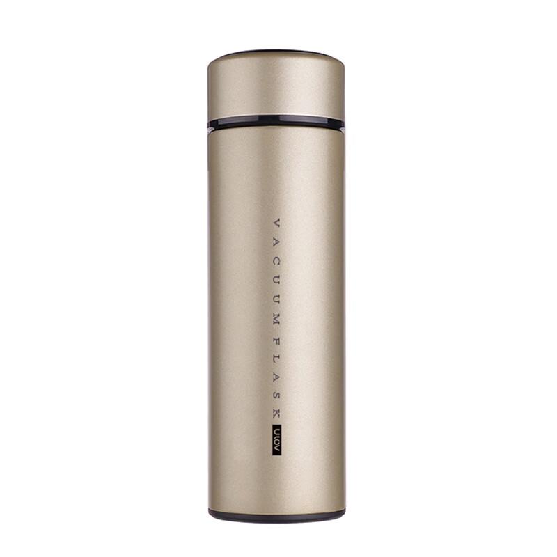 Fuguang 304 Stainless Steel Portable Thermos Tea Mug with Filter