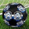 DSC Arminia Bielefeld Size 5 Soccer Ball, Machine-Stitched PVC, Durable & High Bounce, All Ages Fit, Fan Merchandise, Matches & Outdoor Use.