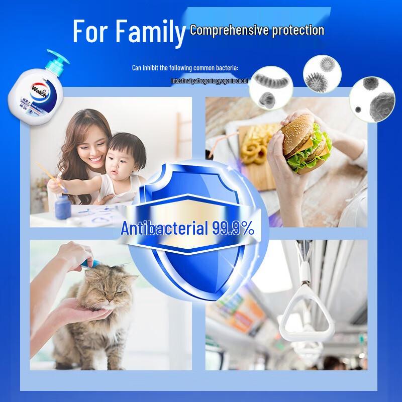 Walch Antibacterial Hand Sanitizer Twin Pack