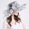 New Style Anti-ultraviolet European and American Ladies Fashion Hat Embroidery Bird's Nest Fashion Mesh Hat Sun Hat