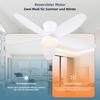 Low-profile ceiling fan with light and remote control, dimmable and silent, suitable for bedrooms and kitchens.
