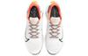 Nike ZoomX SuperRep Surge Mfs 'Light Bone Multi' DH2729-091
