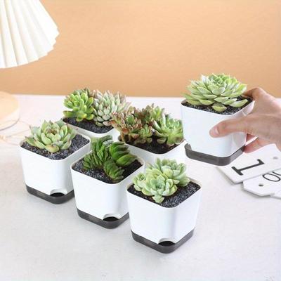 5 Pezzi Vasi Auto-irriganti Fioriere per Giardinaggio Interno Esterno Piante Succulente