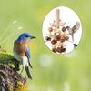 Parrot Chewing Toy Wood Blocks Bird Cage Bite Toys for Cockatiel Canary Lovebird