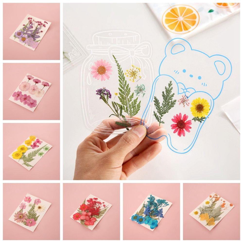 DIY Materials DIY Dried Flower Bookmarks Handmade Flower Page Bookmark Dried Flower Stickers  Kids