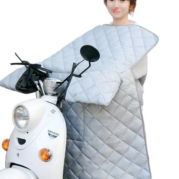 Universal Electric Car Windshield Cover - Double-Sided, Waterproof, All-Season Protection