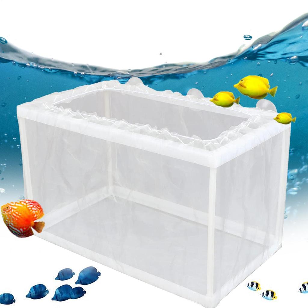 Fischzuchtbox mit Saugern Aquarium Züchter Netzbox Jungfisch Trennnetz Becken Inkubatorbox Jungfischaufzucht