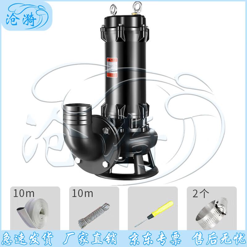 Cangyi Emergency Industrial Drainage Pump