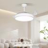 OEINGLED 42-inch Modern Invisible Ceiling Fan