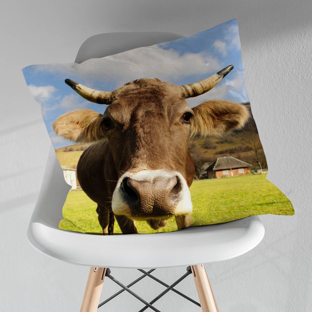 Cute Small Highland Cow Various Sizes Square Pillow Case For Car Home Bedchamber Decor Birthday Gift
