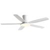 Modern Home 48 Inch Ceiling Fan Light Strong Wind DC Remote Control Ceiling Fan Home Atmosphere Silent Decorative Fan