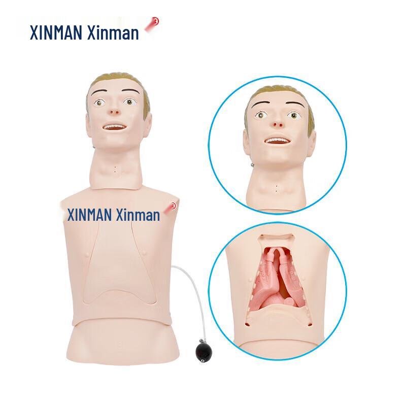 Advanced Nasogastric and Tracheal Care Model