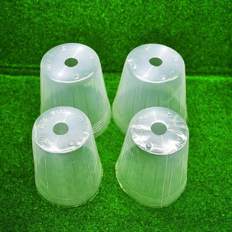 Garden Nursery Planter Clear Plastic Orchid Succulent Container Flower And Vegetable Transplant Tools