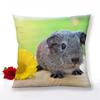 Guinea Pig Zipper Pillowcase Home Decor Satin Square  Bedroom
