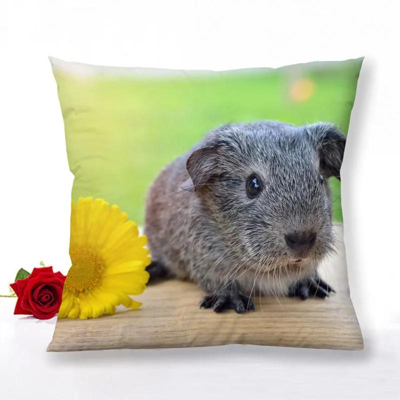 Guinea Pig Zipper Pillowcase Home Decor Satin Square  Bedroom