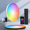 RGB Color Changing Smart LED Ceiling Light RGB Circular Ambient Lamp  Smart Home System