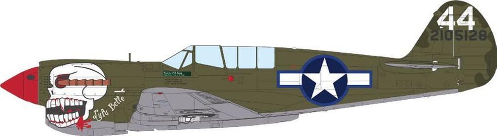 Eduard Profipack Warhawk Plastikmodellbausatz EDU82242 1/48 P-40N (Flugzeug)
