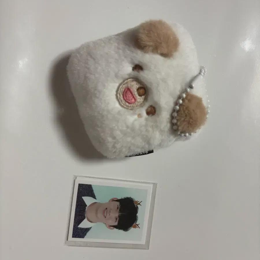 

Day6 Clcon Держатель сертификата