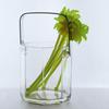 Small Ice Bucket, Champagne Bucket with Handle, Clear Wine Chiller for Home Bar Party Cafe