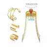 Egyptian Costume Accessories Includes Snake Egyptian Headpiece with Tassels Beads Wrist Bracelet Cuff Snake Arm Cuff