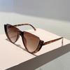 Triangle Shaped Sunglasses  New in Fashion Semi-rimless Gradient Shades Trendy Brand Design Casual Decor Sun Glasses