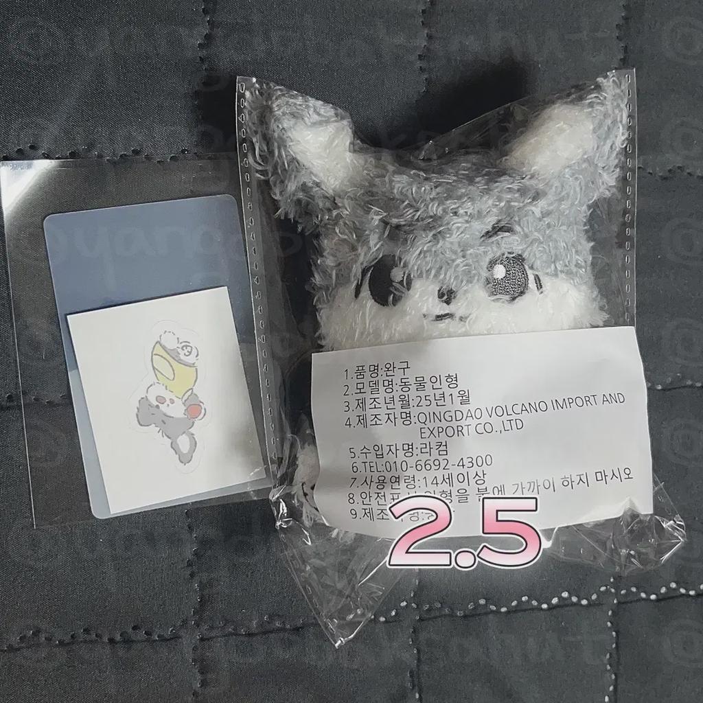 Day6 Pencil Doll Pilldang