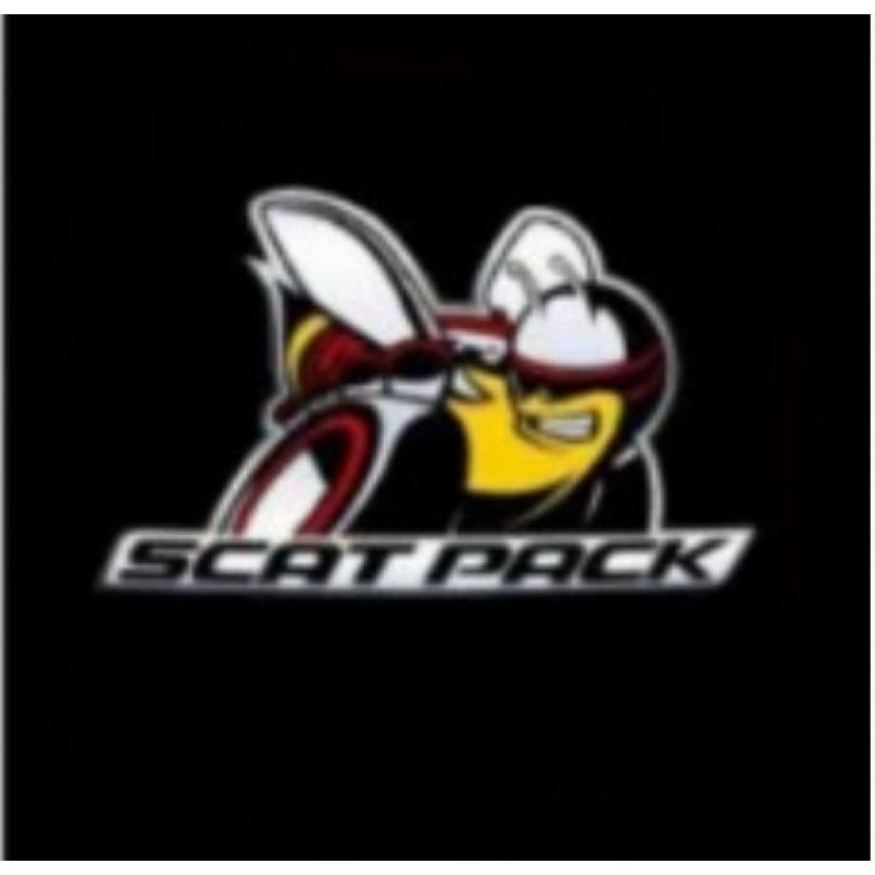 Dodge/Challenger/Chrysler 300C Auto Tür Willkommens-Projektionslicht