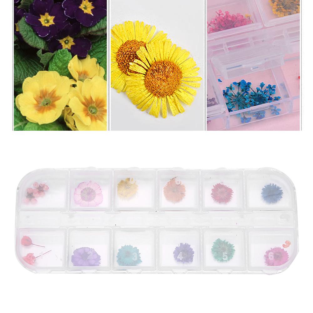 12 Colors  Box Dried Flower Nail Decoration DIY Nail Art Decoration AccessoriesD Style