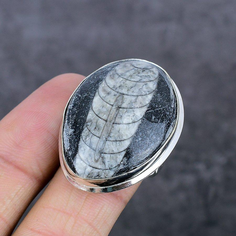 Natural Orthoceras Fossil 925 Sterling Silver Jewelry Ring Size 8.5 D3k82